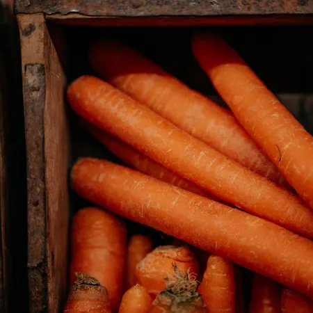 Garni Alpenhof Ischgl