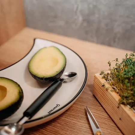 Garni Alpenhof 4* Ischgl