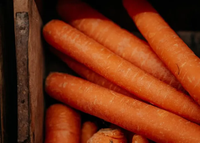 Garni Alpenhof Ischgl