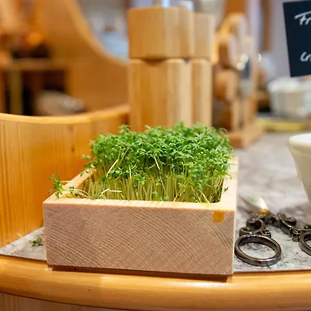 فندق Garni Alpenhof ايشجل