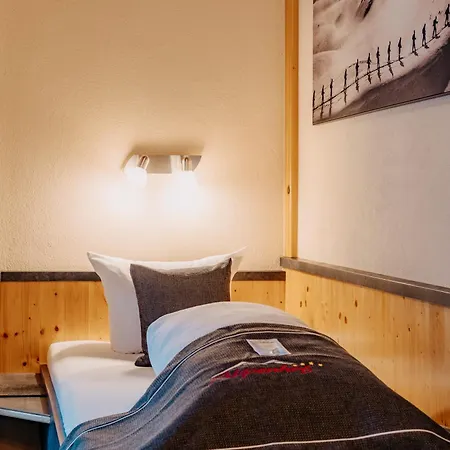 فندق Garni Alpenhof 4*