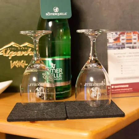 加尼阿彭霍夫酒店 酒店 4*