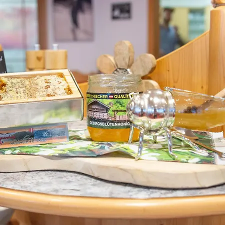 加尼阿彭霍夫酒店 酒店 伊施格尔